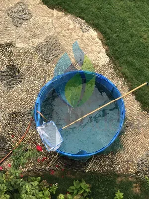 1.2*0.8m 900L Round Fish Farming Tank - customer case image 1