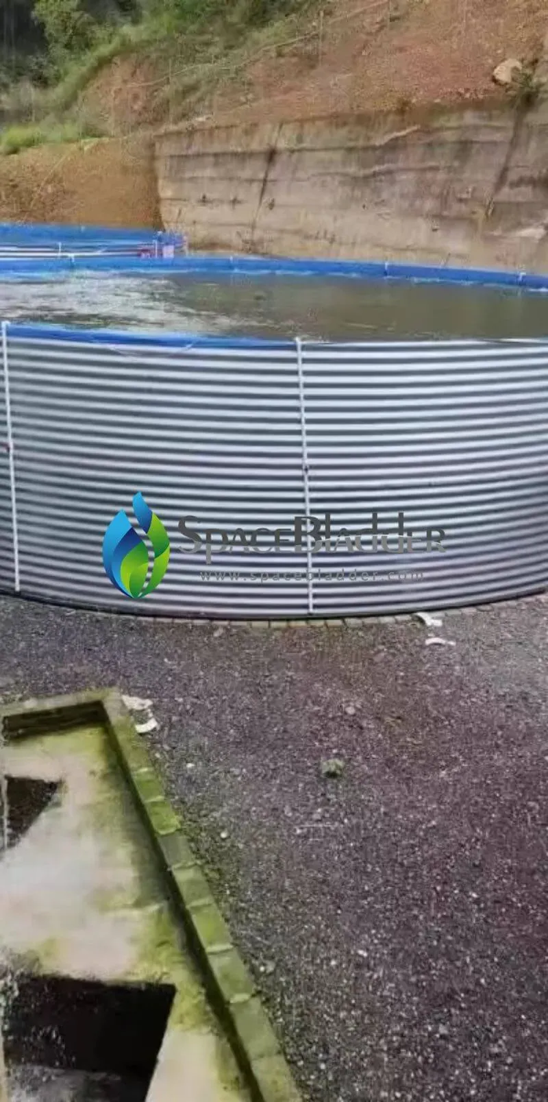 Home Use Aquaculture Fish Tank - customer case image 1