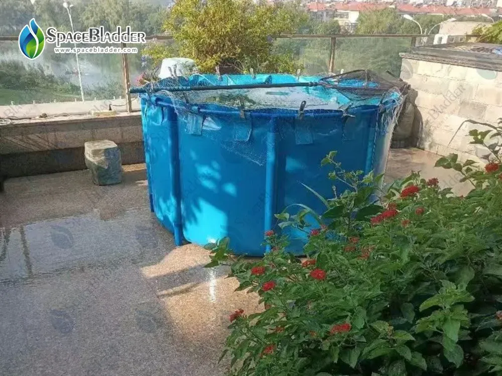 700L 1.2m*0.6m Indoor Plastic Fish Breeding Tank for Aquaculture - customer case image 2
