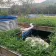 Customized Fish Farming Tank From Clients Feedback - customer case thumbnail 3