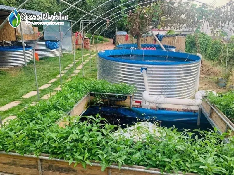 Customized Fish Farming Tank From Clients Feedback - customer case image 4